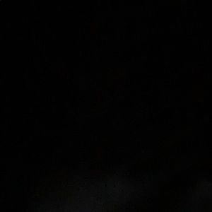 Meet your Posher, Joey